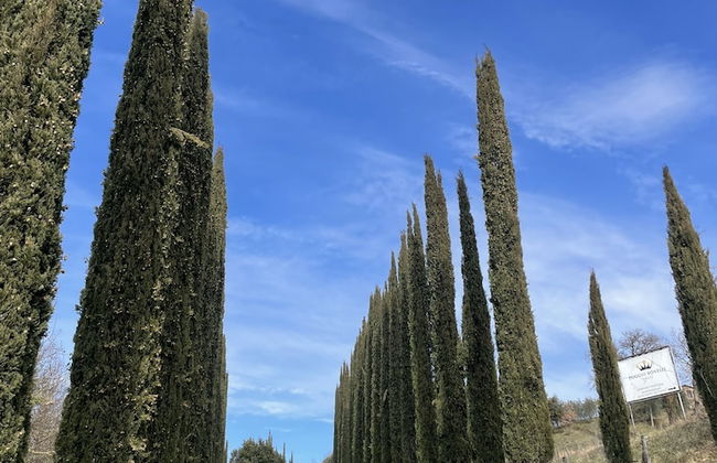 Agriturismo Poggio Bonelli - Foto 21