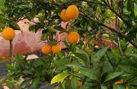 LocriHOUSE-Stylish comfortable home in Galaxidi - Foto 24