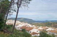 El Pitijopo - Foto 32