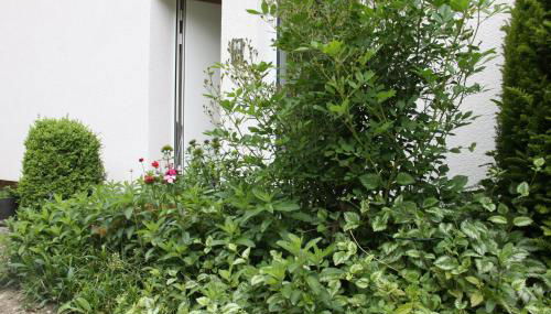 Ferienwohnung Vinea - Foto 2