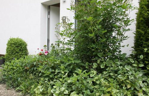 Ferienwohnung Vinea - Foto 2