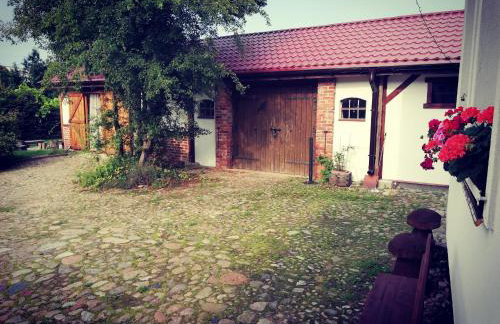 Babie Lato - Foto 33