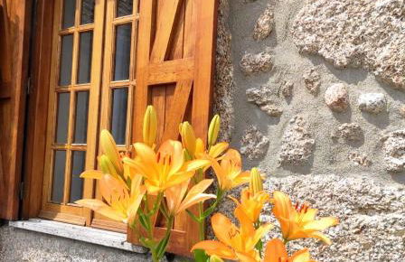 Casa Na Montanha Da Neve - Foto 11