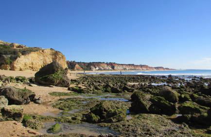 Apartamentos Cabrita - Foto 12