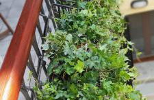 Ca' Baby Venezia - Foto 27