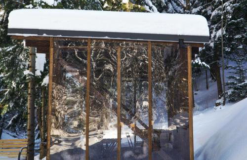 Novosiele Lifestyle Apartments - nad górską rzeką - Strefa relaksu sauna jacuzzi - Bieszczady - Foto 28