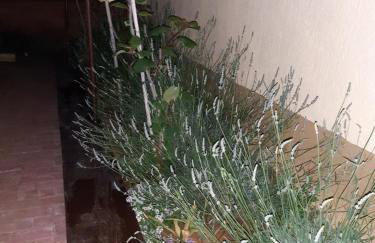 Studio apartman SAN 3 - Foto 7