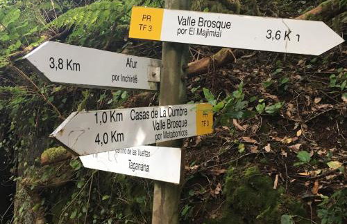 Penthouse Lomo Alto - Foto 52