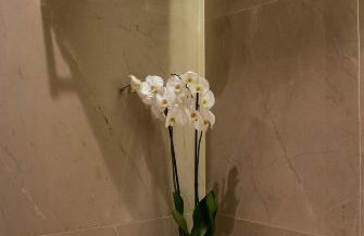 L-Suites - Photo 31