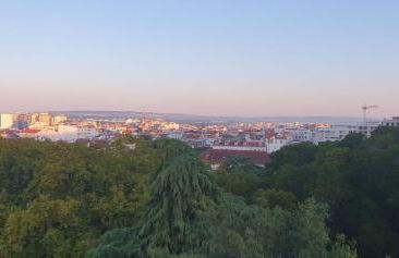 Caldas da Rainha's Green & Brown - Foto 19