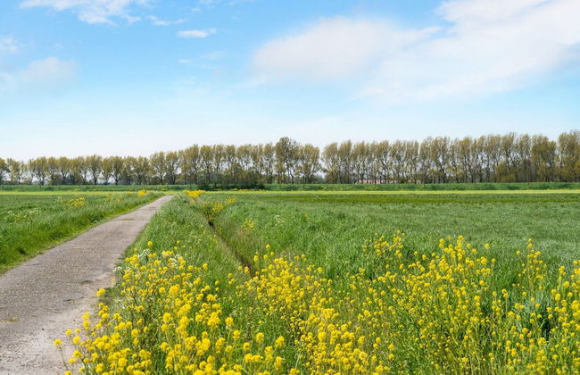 Luxury Chalet Near Ouddorp With Garden - Photo 36