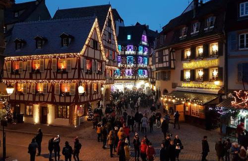 gite joseph 2pers dans le vignoble à 8km de Colmar - Foto 13