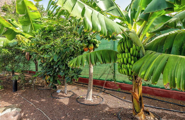 Sol Mogan Suites - Foto 70