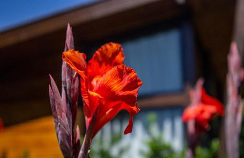 Cabanas Jardim dos Canyons - Foto 81