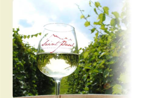 Treetops Cabin-Peaceful 1BR 20-Acre Rural Retreat-HotTub-WiFi-Near Asheville - Foto 11