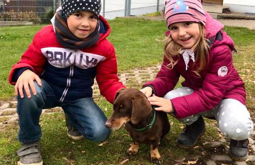 Ferienwohnung Scherr - Foto 23