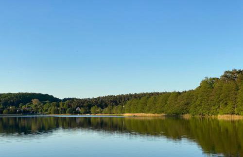 Studio Wisełka Leśna - Foto 17