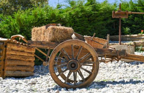 Quinta dos Castanheiros - Foto 51