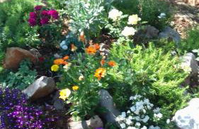 Apartments Villa Marija - Foto 7