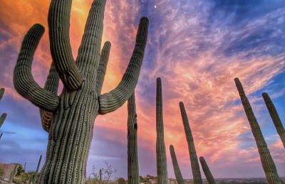 Rio Rancho Verde Two Bedroom Suite - Foto 25