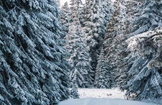 Suite 1400 - Foto 15