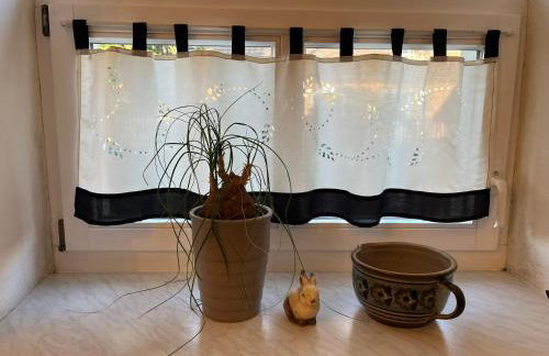 Grüne Villa - Foto 18