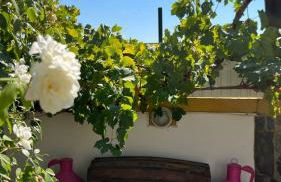 Monte da Freira - Foto 80