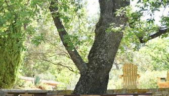 Domaine de Matourne - Foto 4