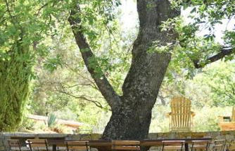 Domaine de Matourne - Foto 4