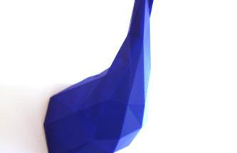 Blaue Gans - Foto 15