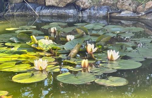 Dimora riviera - Foto 4