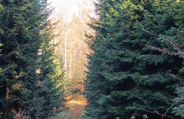 Sanriver Apartamenty - Foto 17