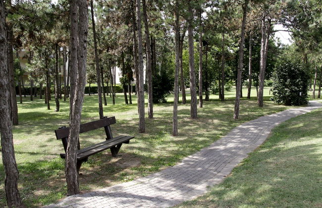 Residence Sporting - Foto 43