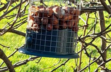 The Granary - Foto 17