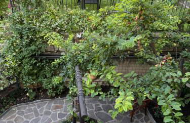 Rustico cota - Foto 29