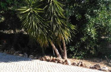 Casa do Sul - Foto 15