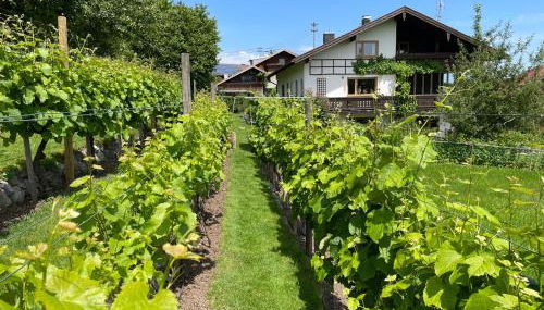 Apartment Am Weinberg - Photo 3