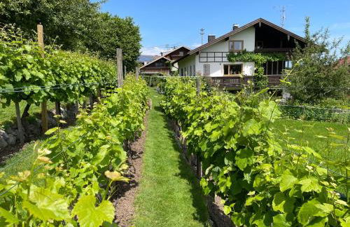 Apartment Am Weinberg - Foto 3