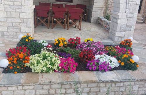 Petrini Armonia, Vitsa Zagori - Foto 22