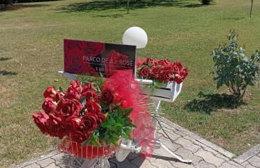 Parco delle Rose - Photo 42