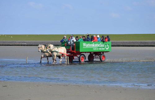 Nordseehof Fuhlehörn - Foto 20