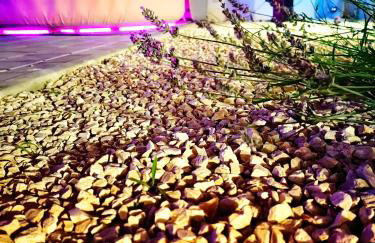 Villa La Merion - Foto 37