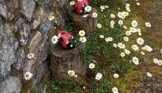 La Casona de Candamín - Foto 3