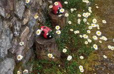 La Casona de Candamín - Foto 3