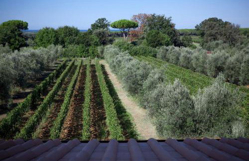 Agriturismo Tra gli Ulivi, Chiappini Winery - Photo 70