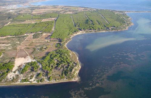 Hotel Perda Rubia - Foto 37