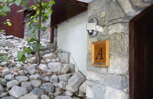 Jardin d'hiver A #1Bis - 5 guests - Ski in - Ski out - Foto 24