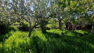 Tiny House en Piedrahita (Ávila) - Photo 5