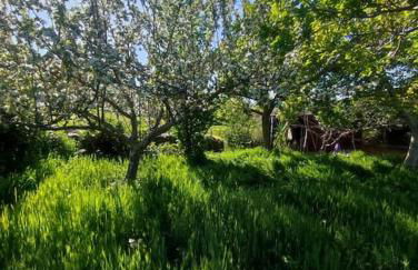 Tiny House en Piedrahita (Ávila) - Photo 5