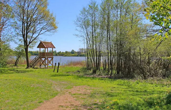 Appartement in Reizvoller Nachbarschaft - Foto 31